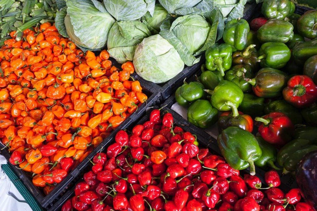 Cabbage and three different kinds of peppers in bins