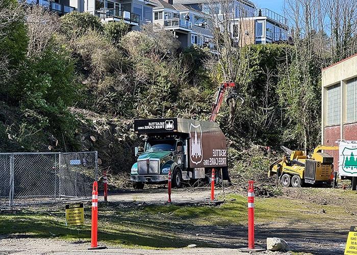 a truck labeled "Seattle Tree Care" sites next to a slop with vegetation and houses above. A machine arm is visible reaching for vegetation